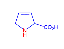 2,5-Dihydro-1H-pyrrole-2-carboxylic acid